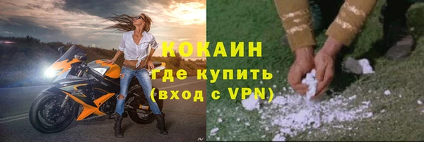 шишки Алзамай