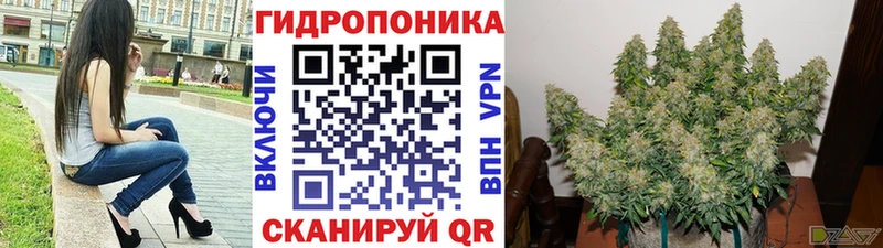 darknet наркотические препараты  Николаевск-на-Амуре  Бошки марихуана White Widow 